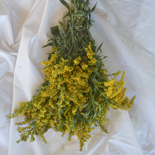 How to Dye Fabric with Goldenrod