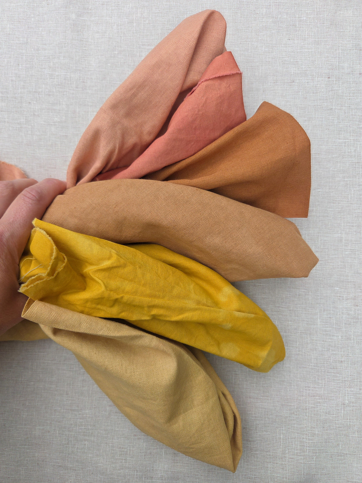 Natural Dye Kit: Summer's End