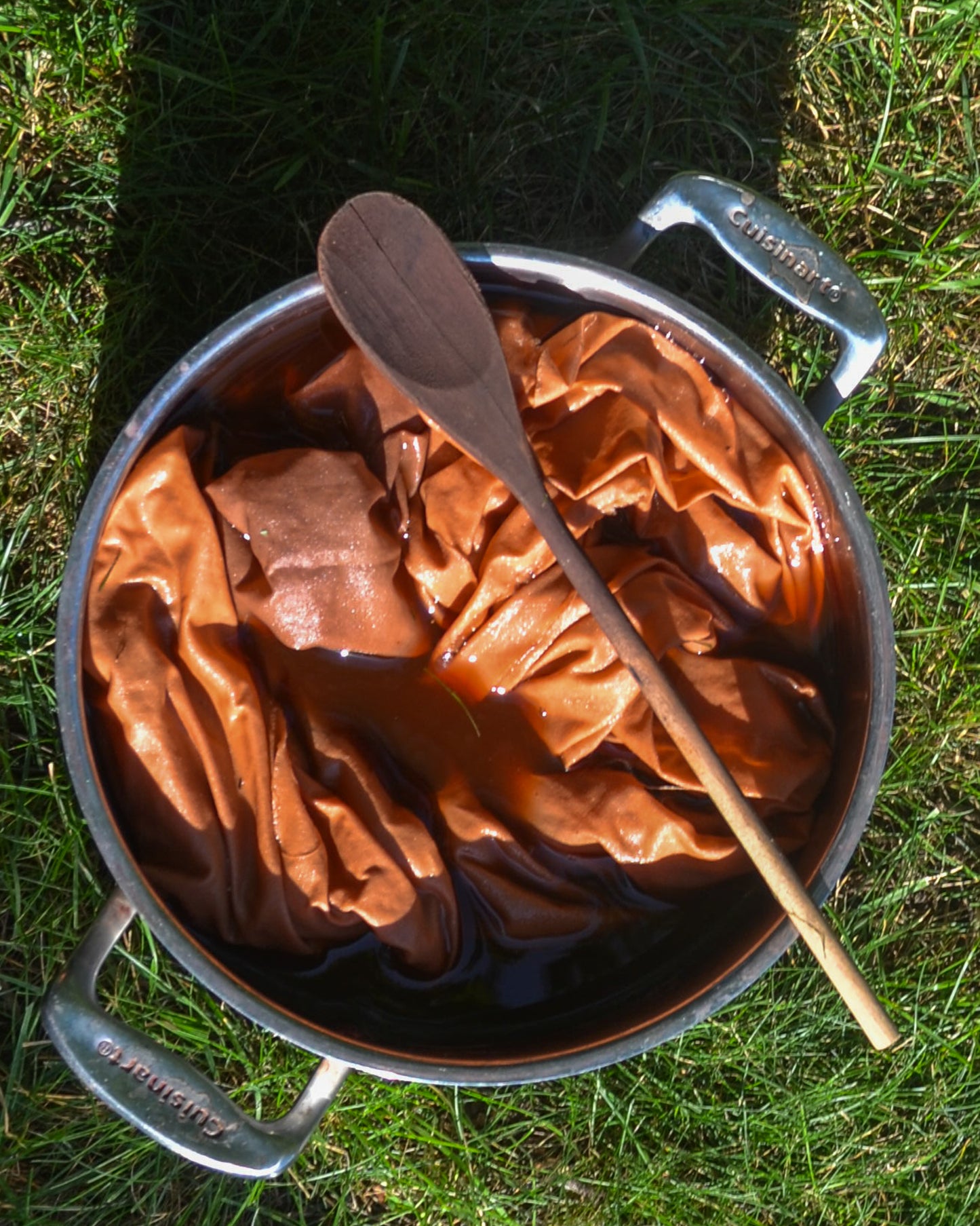 Beginner's Guide to Natural Dyeing