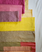 Load image into Gallery viewer, Natural Dye Kit 02:Brights
